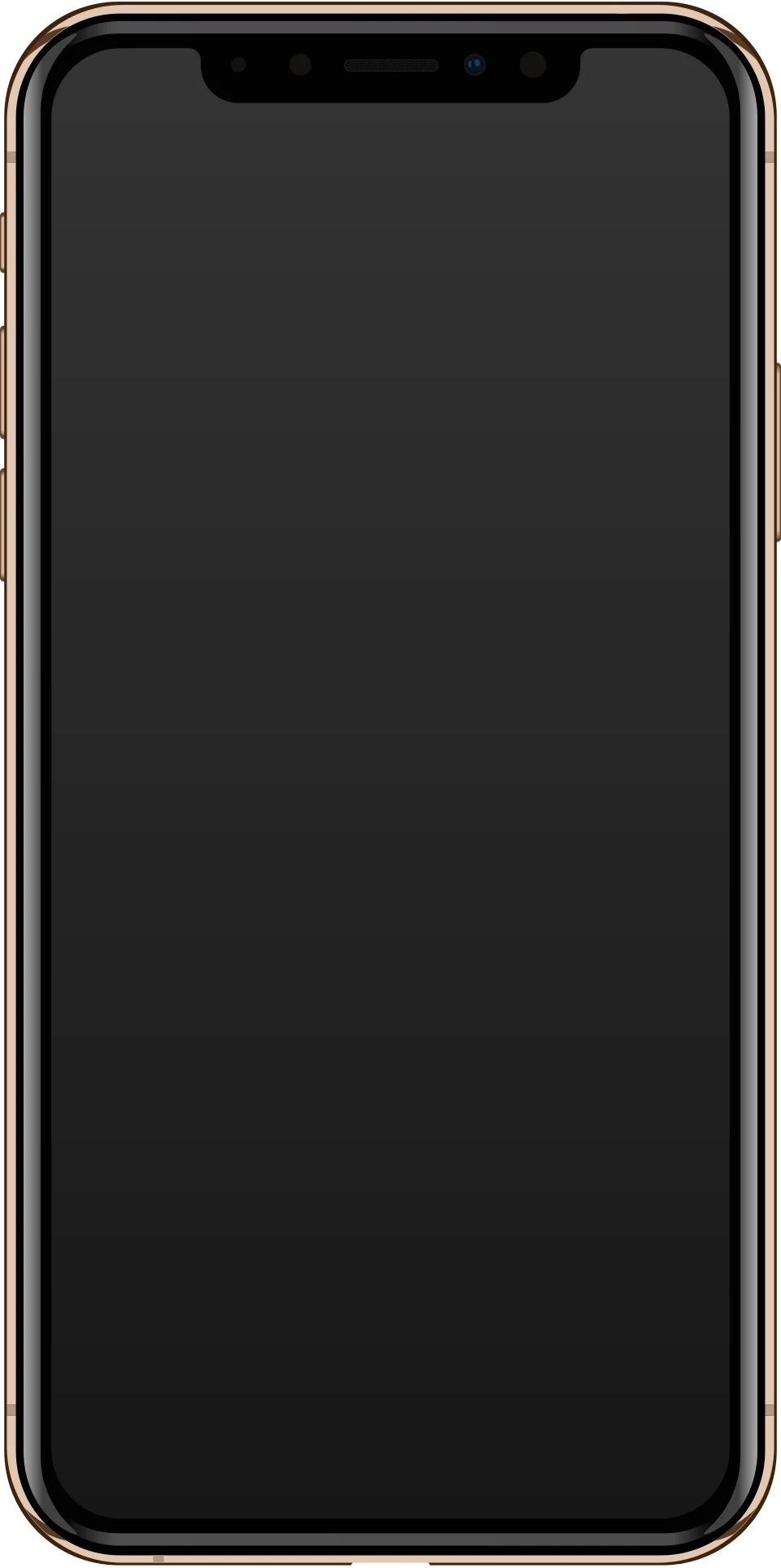 Apple iPhone Xs